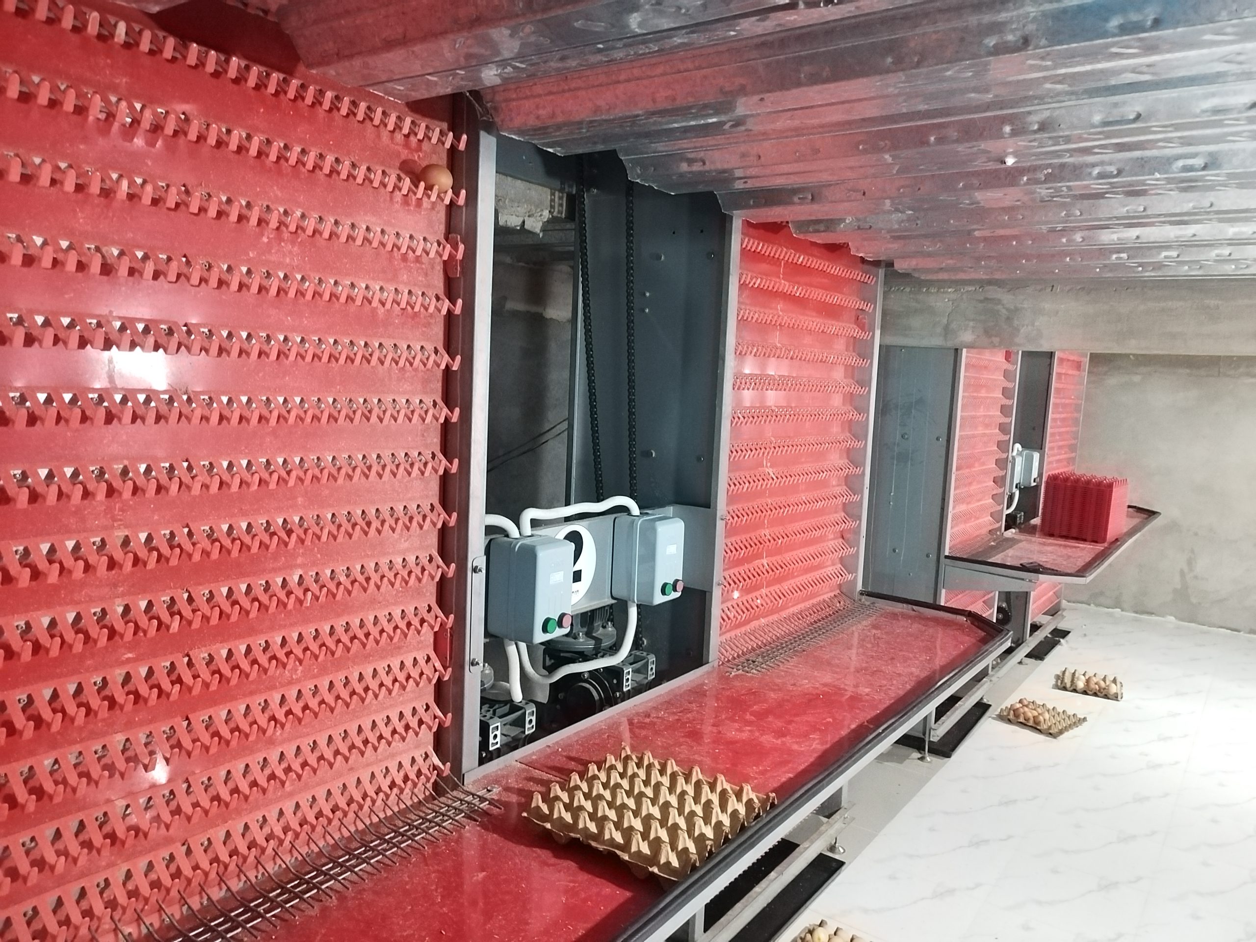 step type brooder cage step type brooder cage