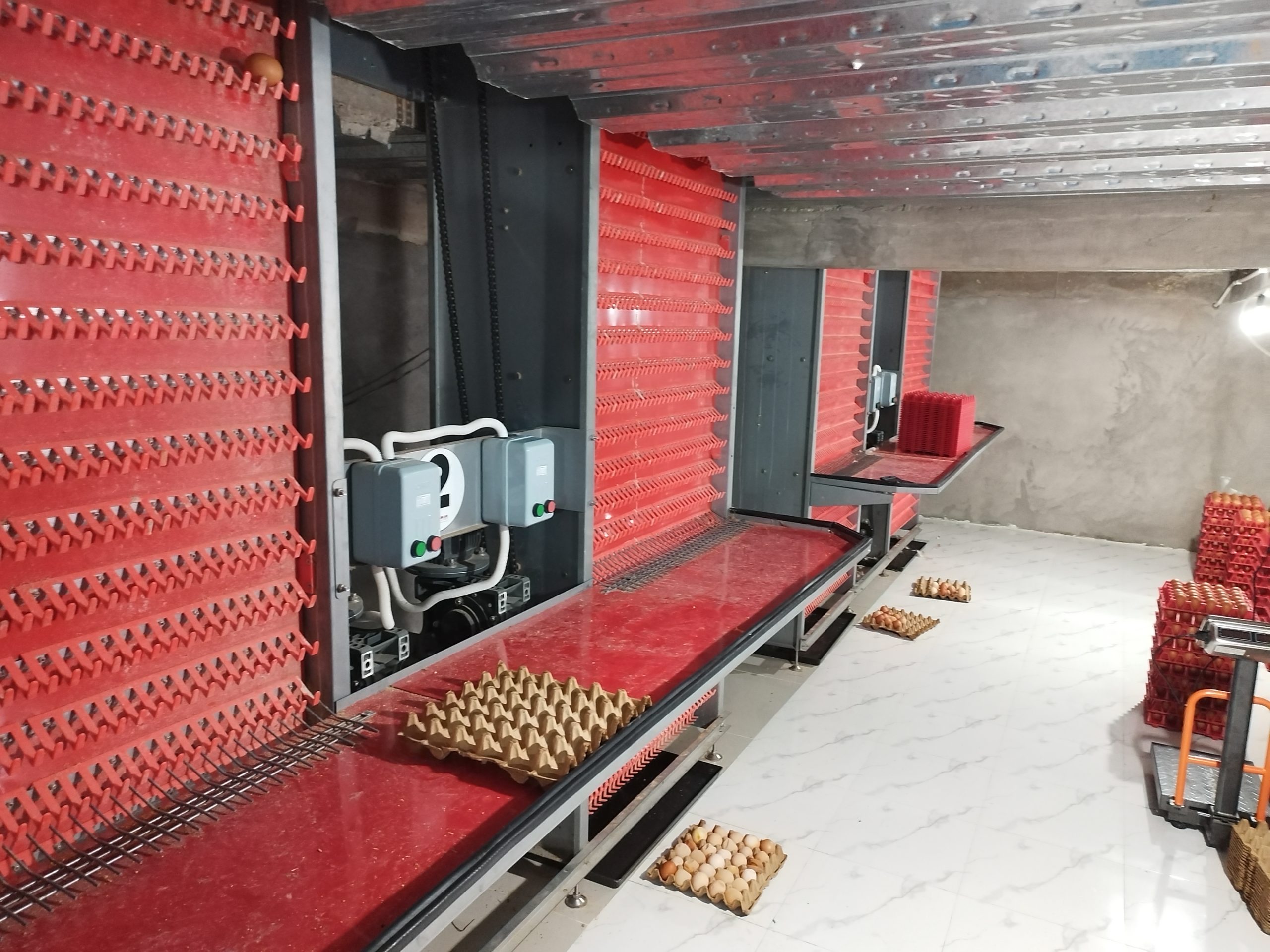step type brooder cage step type brooder cage