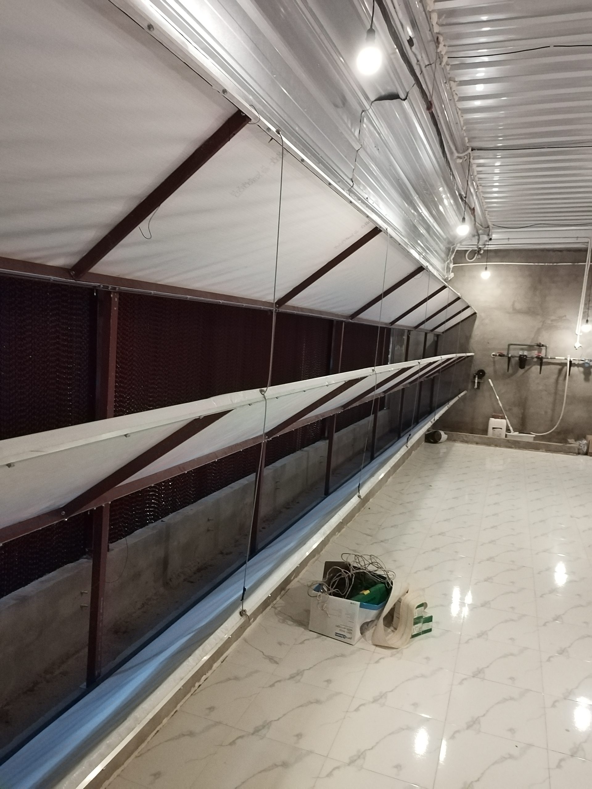 step type brooder cage step type brooder cage
