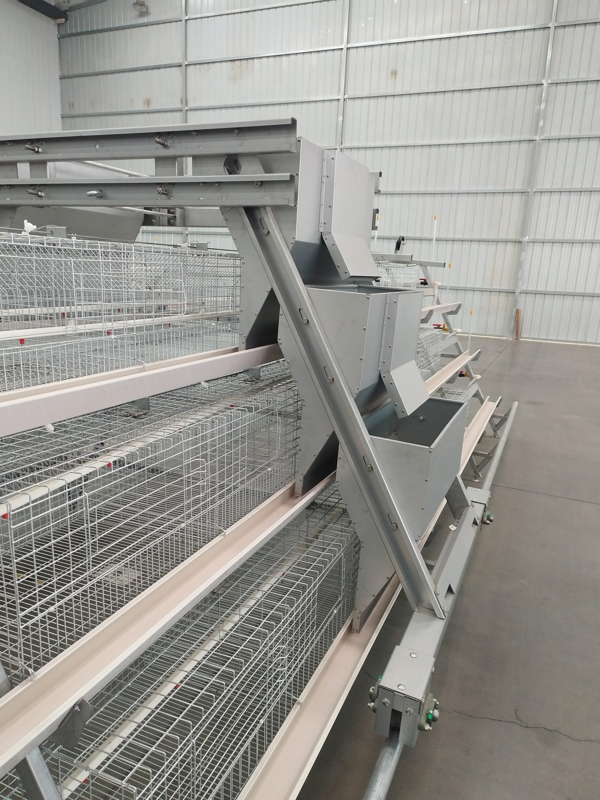 step type brooder cage step type brooder cage