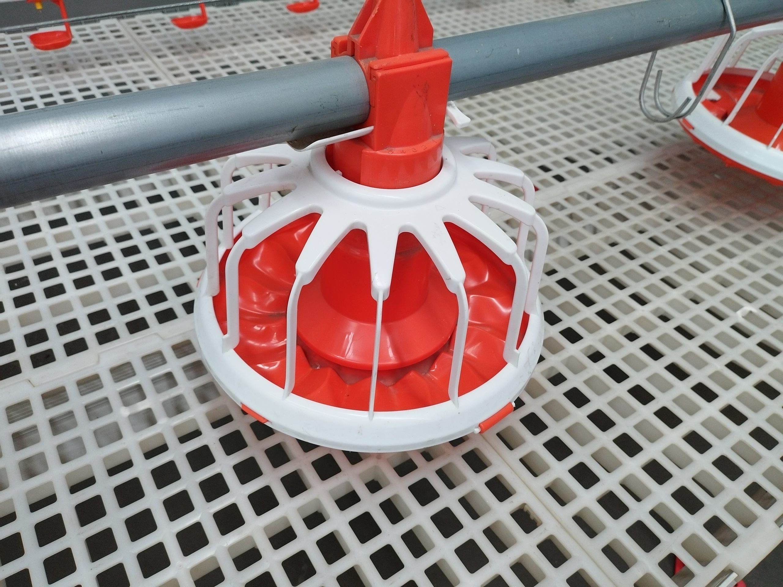 the floor chain feeding system the floor chain feeding system