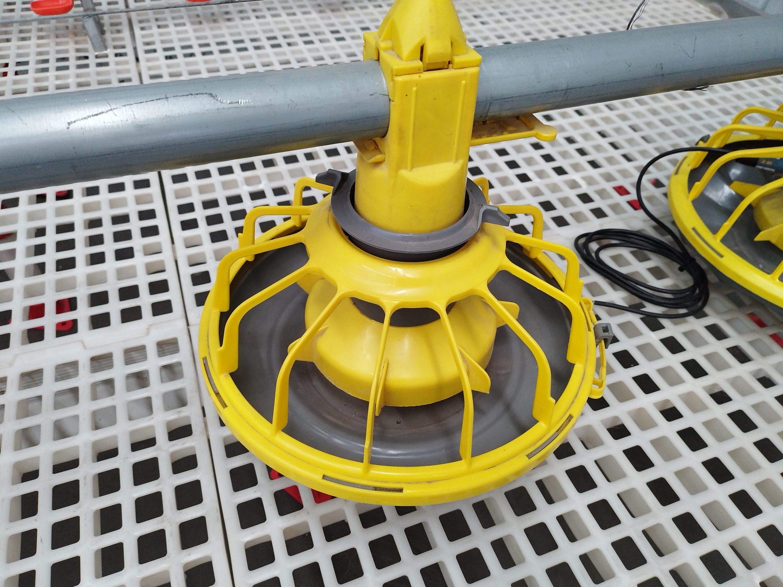 floor rearing equipment floor rearing equipment